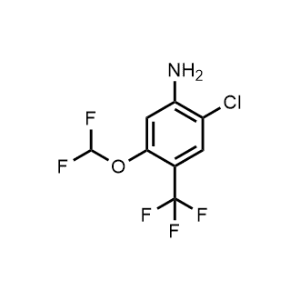 2-Chloro-5-(difluoromethoxy)-4-(trifluoromethyl)aniline|CS-1222703