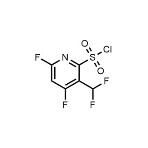 3-(Difluoromethyl)-4,6-difluoropyridine-2-sulfonyl chloride|CS-1223373