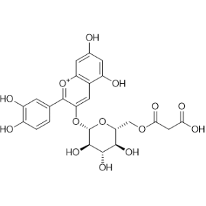 Cyanidin-3-O-(6''-malonylglucoside) chloride|CS-1226356