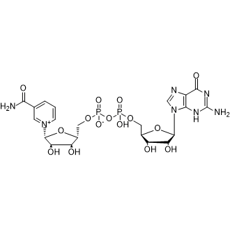Nicotinamide-guanine dinucleotide|CS-1228513