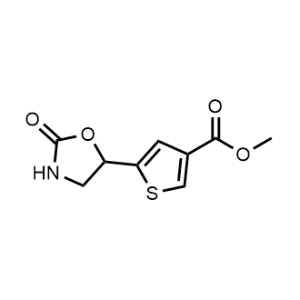 Methyl 5-(2-oxooxazolidin-5-yl)thiophene-3-carboxylate|CS-1230837