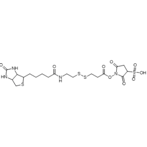 2,5-Dioxo-1-((3-((2-(5-(2-oxohexahydro-1H-thieno[3,4-d]imidazol-4-yl)pentanamido)ethyl)disulfanyl)propanoyl)oxy)pyrrolidine-3-sulfonic acid|CS-1236268