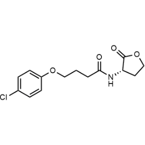(S)-4-(4-Chlorophenoxy)-N-(2-oxotetrahydrofuran-3-yl)butanamide|CS-1237368