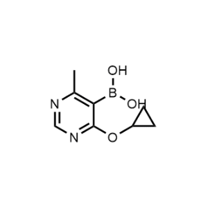 (4-Cyclopropoxy-6-methylpyrimidin-5-yl)boronic acid|CS-1242024