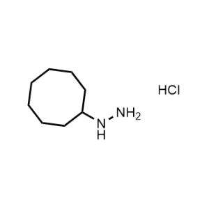 Cyclooctylhydrazine hydrochloride|CS-1247798