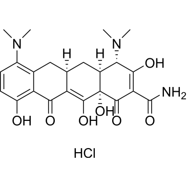 Minocycline (hydrochloride)|CS-1256