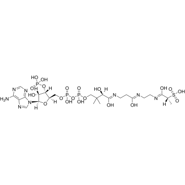 (2R)-Sulfonatepropionyl-amino(dethia)-CoA|CS-1268250