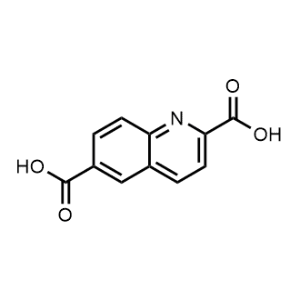 Quinoline-2,6-dicarboxylic acid|CS-1271408