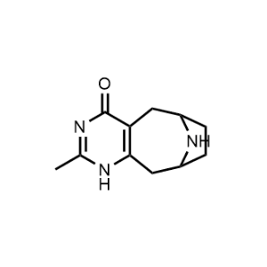 2-Methyl-5,6,7,8,9,10-hexahydro-6,9-epiminocycloocta[d]pyrimidin-4(1H)-one|CS-1273679
