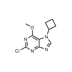 2-Chloro-7-cyclobutyl-6-methoxy-7H-purine|CS-1274233