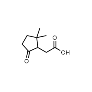 2-(2,2-Dimethyl-5-oxocyclopentyl)acetic acid|CS-1297517