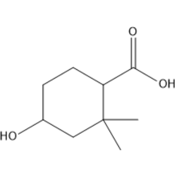 4-Hydroxy-2,2-dimethylcyclohexane-1-carboxylic acid|CS-1298048