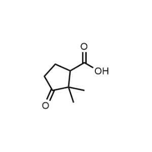 2,2-Dimethyl-3-oxocyclopentane-1-carboxylic acid|CS-1298691