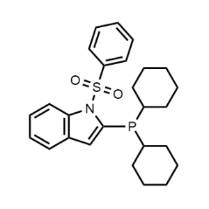 2-(Dicyclohexylphosphino)-1-(phenylsulfonyl)-1H-indole|CS-1299644