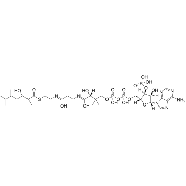 3-Hydroxy-2,6-dimethyl-5-methylene-heptanoyl-CoA|CS-1301915