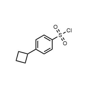 4-Cyclobutylbenzenesulfonyl chloride|CS-1302589
