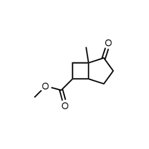 Methyl 1-methyl-2-oxobicyclo[3.2.0]heptane-6-carboxylate|CS-1303095