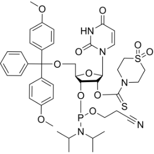 DMT-2'O-TC-rU Phosphoramidite|CS-1305102