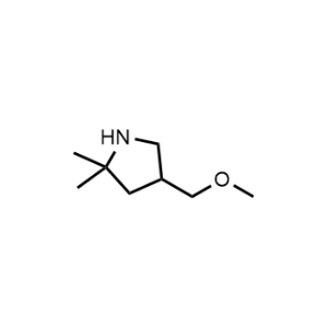 4-(Methoxymethyl)-2,2-dimethylpyrrolidine|CS-1311206