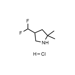 4-(Difluoromethyl)-2,2-dimethylpyrrolidine hydrochloride|CS-1311218