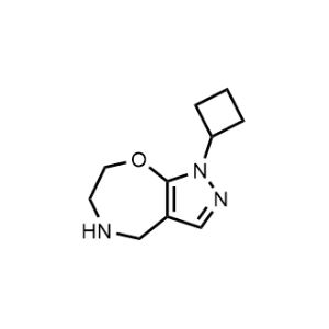 1-Cyclobutyl-4,5,6,7-tetrahydro-1H-pyrazolo[4,3-f][1,4]oxazepine|CS-1311815