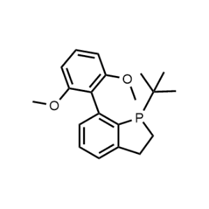 1-(tert-Butyl)-7-(2,6-dimethoxyphenyl)-2,3-dihydro-1H-phosphindole|CS-1313479
