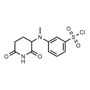 3-((2,6-Dioxopiperidin-3-yl)(methyl)amino)benzenesulfonyl chloride|CS-1313796