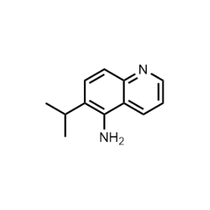 6-(1-Methylethyl)-5-quinolinamine|CS-1315011
