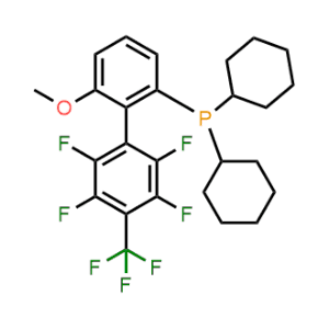 Dicyclohexyl(2',3',5',6'-tetrafluoro-6-methoxy-4'-(trifluoromethyl)-[1,1'-biphenyl]-2-yl)phosphane|CS-1317237