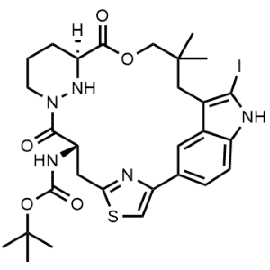 tert-Butyl ((63S,4S,Z)-12-iodo-10,10-dimethyl-5,7-dioxo-61,62,63,64,65,66-hexahydro-11H-8-oxa-2(4,2)-thiazola-1(5,3)-indola-6(1,3)-pyridazinacycloundecaphane-4-yl)carbamate|CS-1318449