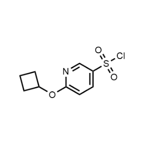 6-Cyclobutoxypyridine-3-sulfonyl chloride|CS-1319101