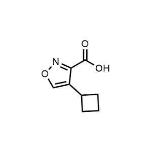 4-Cyclobutylisoxazole-3-carboxylic acid|CS-1323851
