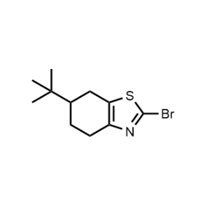 2-Bromo-6-(tert-butyl)-4,5,6,7-tetrahydrobenzo[d]thiazole|CS-1323916