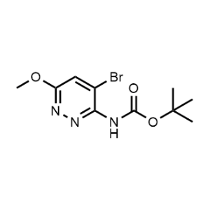 tert-Butyl (4-bromo-6-methoxypyridazin-3-yl)carbamate|CS-1324751