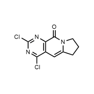 2,4-Dichloro-7,8-dihydropyrimido[4,5-f]indolizin-10(6H)-one|CS-1325015