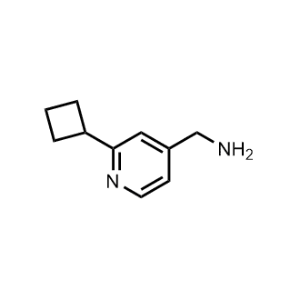 (2-Cyclobutylpyridin-4-yl)methanamine|CS-1328928