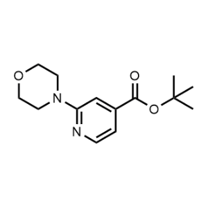 tert-Butyl 2-morpholinoisonicotinate|CS-1329036