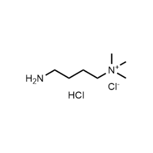 4-Amino-N,N,N-trimethylbutan-1-aminium chloride hydrochloride|CS-1329403