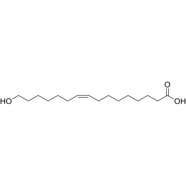 (9Z)-16-Hydroxy-9-hexadecenoic acid|CS-1331101