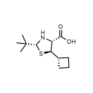 (2R,4R,5R)-2-(tert-Butyl)-5-cyclobutylthiazolidine-4-carboxylic acid|CS-1332823