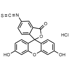 3',6'-Dihydroxy-5-isothiocyanato-3H-spiro[isobenzofuran-1,9'-xanthen]-3-one hydrochloride|CS-1334651