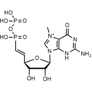 3′-O-Azidomethyl-GTP|CS-1340495