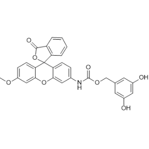3,5-Dihydroxybenzyl (3'-methoxy-3-oxo-3H-spiro[isobenzofuran-1,9'-xanthen]-6'-yl)carbamate|CS-1342323