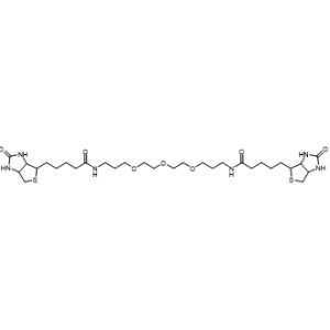 Bis-PEG3-biotin-1|CS-1343808