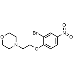 4-(2-(2-Bromo-4-nitrophenoxy)ethyl)morpholine|CS-1344019