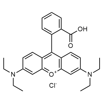 Rhodamine B solution|CS-1344608