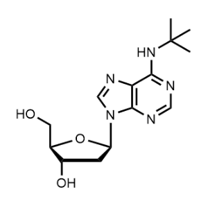 (2R,3S,5R)-5-(6-(tert-Butylamino)-9H-purin-9-yl)-2-(hydroxymethyl)tetrahydrofuran-3-ol|CS-1345900