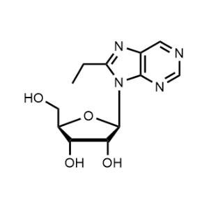 (2R,3R,4S,5R)-2-(6-Amino-8-ethyl-9H-purin-9-yl)-5-(hydroxymethyl)tetrahydrofuran-3,4-diol|CS-1345907