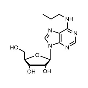 (2R,3S,4R,5R)-2-(Hydroxymethyl)-5-(6-(propylamino)-9H-purin-9-yl)tetrahydrofuran-3,4-diol|CS-1345942