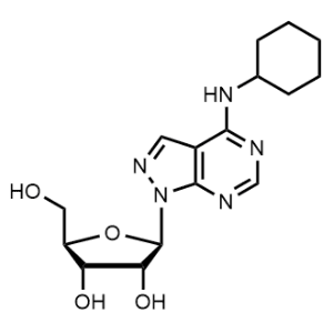 (2R,3R,4S,5R)-2-(4-(Cyclohexylamino)-1H-pyrazolo[3,4-d]pyrimidin-1-yl)-5-(hydroxymethyl)tetrahydrofuran-3,4-diol|CS-1345944
